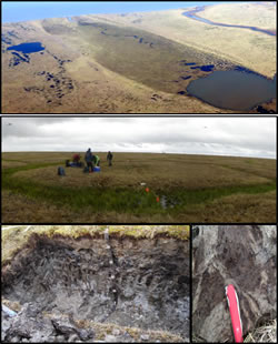 Figure 3: Example of cryoturbated soils in thaw-lake formation in a tundra area near Barrow, AK.