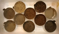 Figure 3. Examples of permafrost-region soils of varying SOM composition and quality.